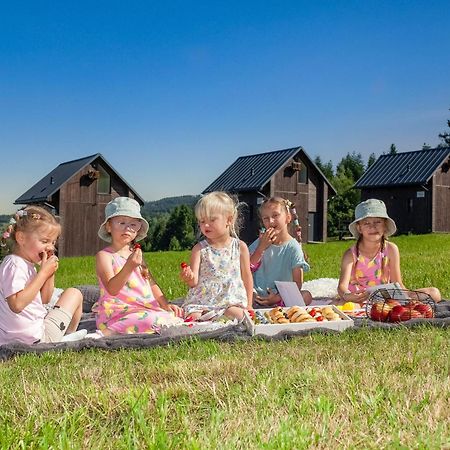 Polana Piorun Domki Wakacyjne W Beskidach Krynica-Zdrój Exterior foto