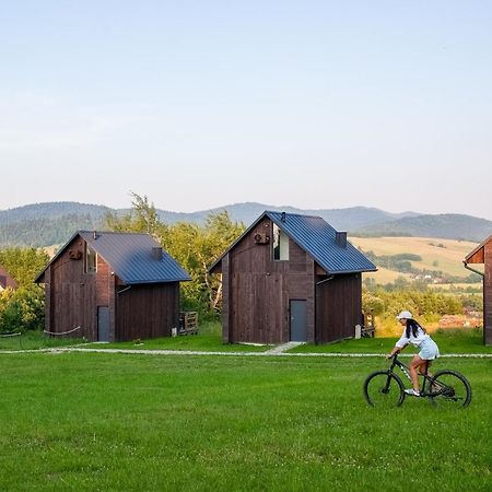 Polana Piorun Domki Wakacyjne W Beskidach Krynica-Zdrój Exterior foto