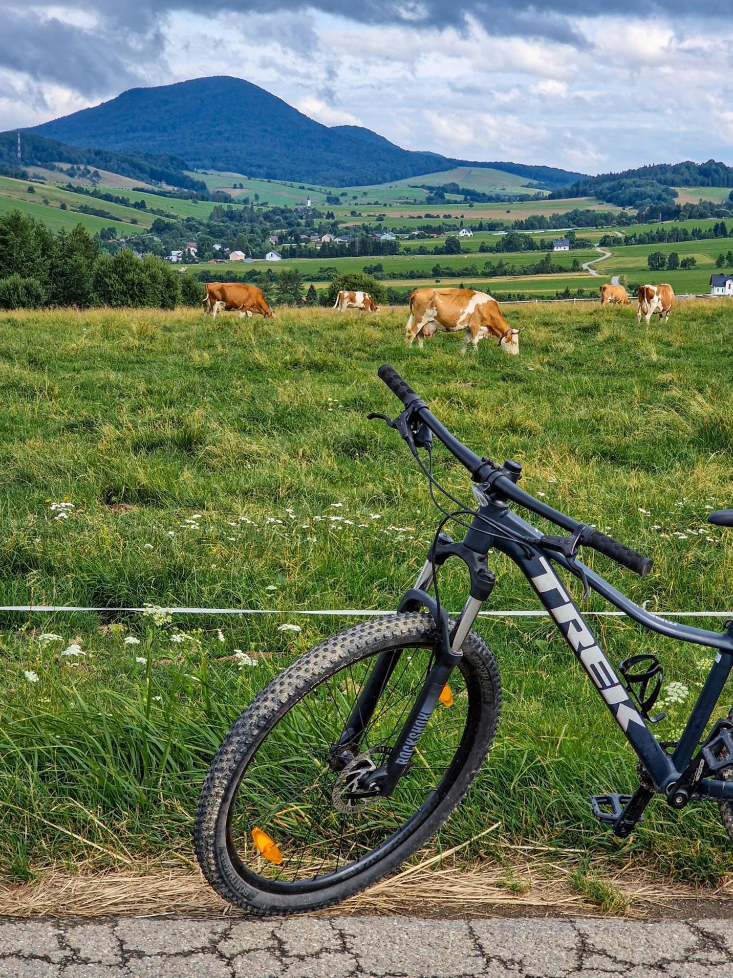 Polana Piorun Domki Wakacyjne W Beskidach Krynica-Zdrój Exterior foto